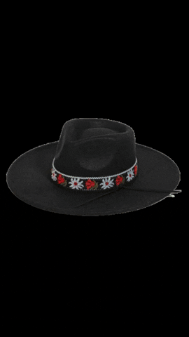 Finnleysonline giphygifmaker GIF