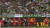 Soccer Bundesliga GIF by VfL Wolfsburg
