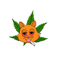 kannabis_kat cat cartoon trippy weed Sticker
