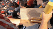 baltimore orioles baseball GIF by MLB