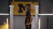 GIF by Mizzou Athletics