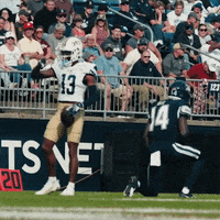 Fiu Football Eric Rivers GIF by FIU Panthers