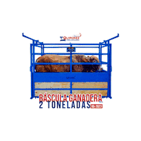 Ganaderia Bascula Sticker by Básculas Quiñonez