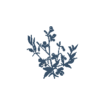 simplysuzette happy hello hi emoji Sticker