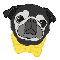 Dogs Love Sticker