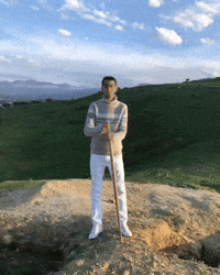 Fight Art GIF