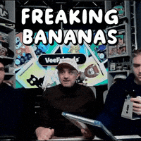 Too Much What GIF by VeeFriends
