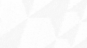 Football Sport GIF by SK Slavia Praha