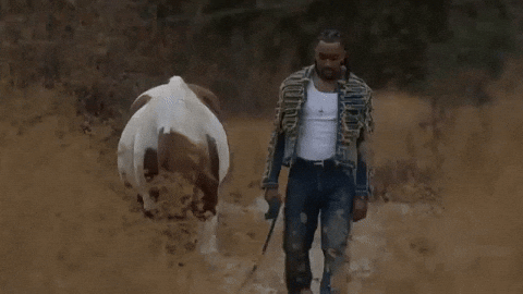 Sexy Cowboy GIF by Darius Martin