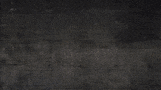 GIF by ragingbully