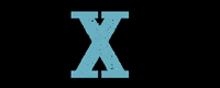 eqxvet horse cavalo eqx eqxvet GIF
