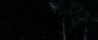 GIF by Crouching Tiger, Hidden Dragon 