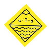 Bts Sticker by Beyond the Standard