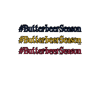 Warner Bros Butterbeer Sticker by Harry Potter