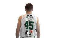 Sport Basketball Sticker by Basket_fi