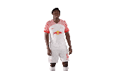 Läuft No Problem Sticker by RB Leipzig
