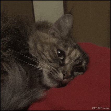 asudeasar giphyupload GIF