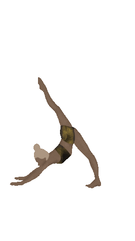 shekay giphyupload Sticker