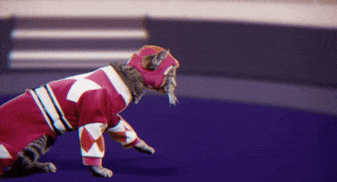 mighty morphin power rangers cats GIF by Power Rangers