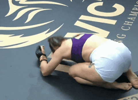 giphy.gif