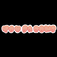 sarah_doesart pink selfie peach bomb GIF
