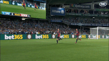 western sydney wanderers celebration GIF by wswanderersfc