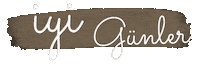 Gunler Sticker