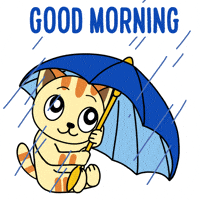 Good Morning Rain GIF by JPedicini