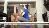 Cute Dachshund Strikes a 'Dog-a' Pose