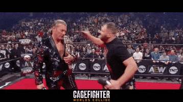Mixed Martial Arts Fight GIF by Indiecan Entertainment Inc.