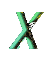 Glitch X Sticker by #BASILIO