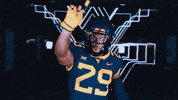GIF by WVU Sports
