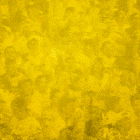 Futbol Barcelona GIF by PilsenerEC