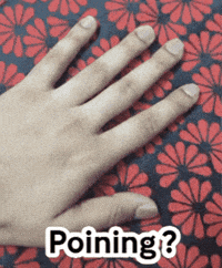 Point Moving GIF
