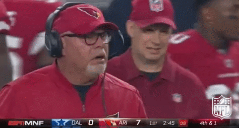 Arizona Cardinals Football GIF by NFL