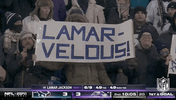 National Football League GIF by NFL