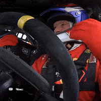 Come On Help GIF by FIA European Rally Championship