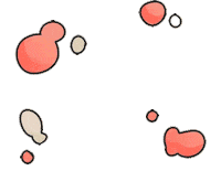 Mackenziechilds Sticker by MiSi Home