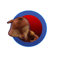 Chip N Dale Look Sticker by Disney+