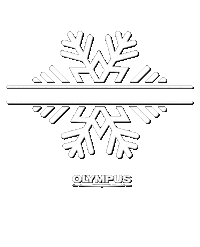 Christmas Countdowntochristmas Sticker by Olympus UK