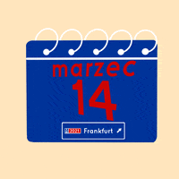 Vote Kommunalwahl GIF by Daj Znak Frankfurt