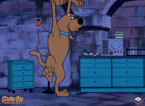 Scooby Doo Walk GIF by Boomerang Official