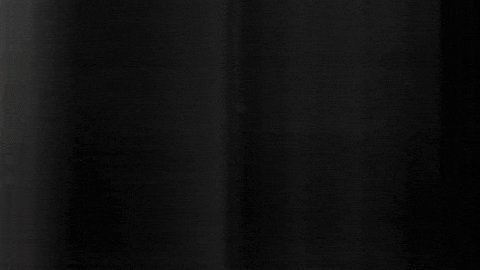 Football Sport GIF by SK Sturm Graz