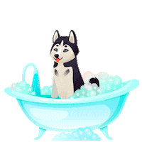 petstop pet king banho king dog Sticker