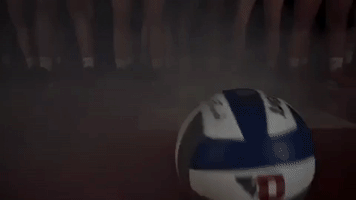 Volleyball Pose GIF by Dayton Flyers