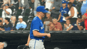 High Five Blue Jays GIF by Toronto Blue Jays
