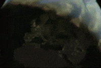 Bayern Munich Bundesliga GIF by Jan Metternich
