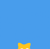 Cat Gold GIF by Studycat