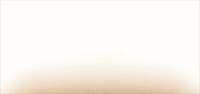 Bird Feathers GIF