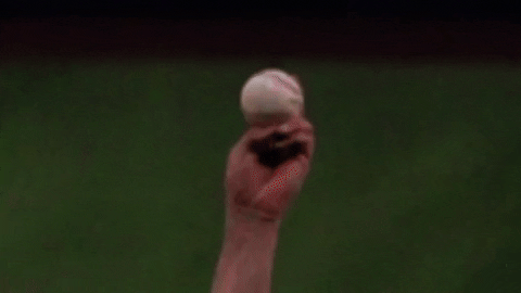 tesstass giphyupload GIF